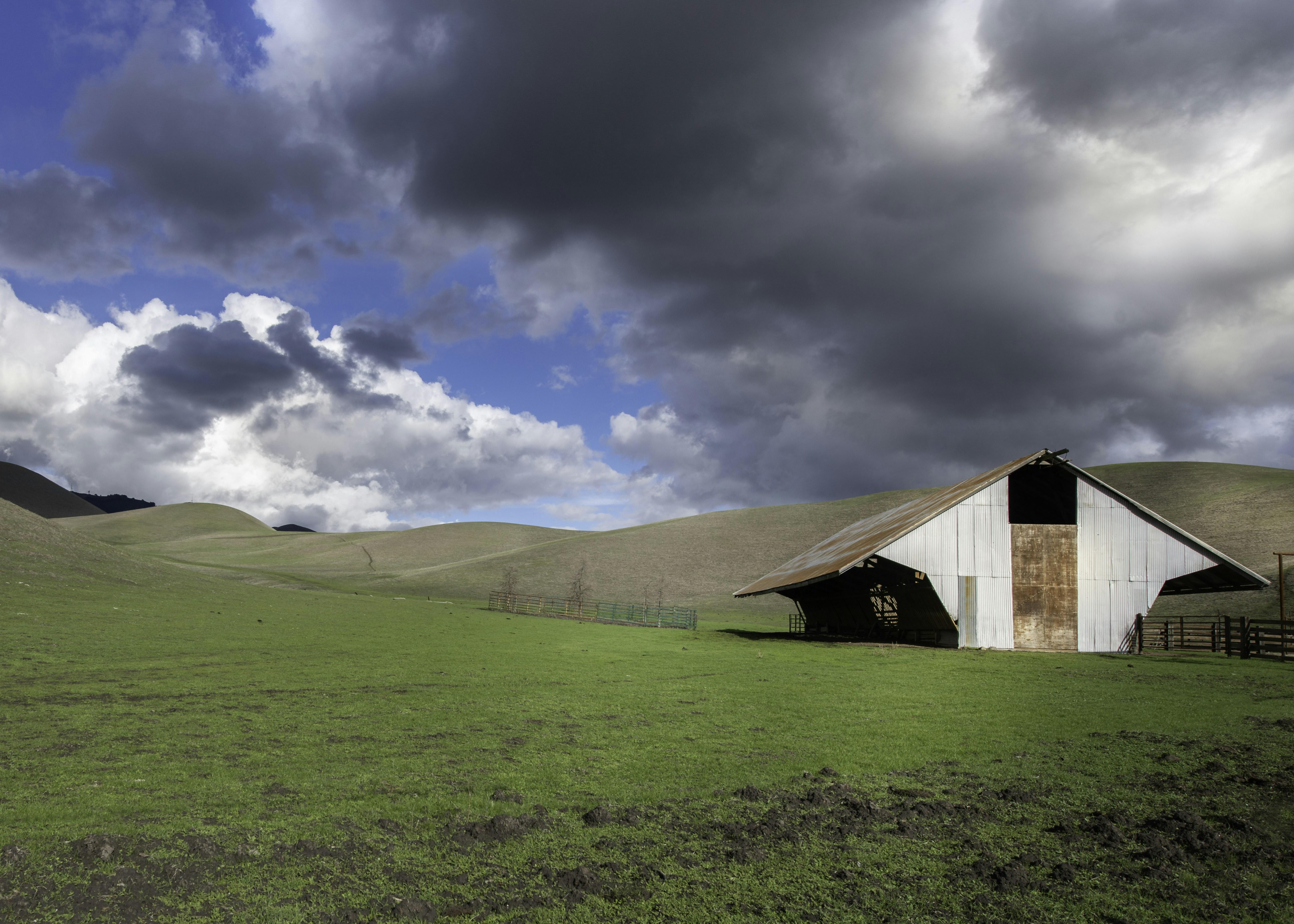 Timeless Tales of Adventure and Survival in the Old West