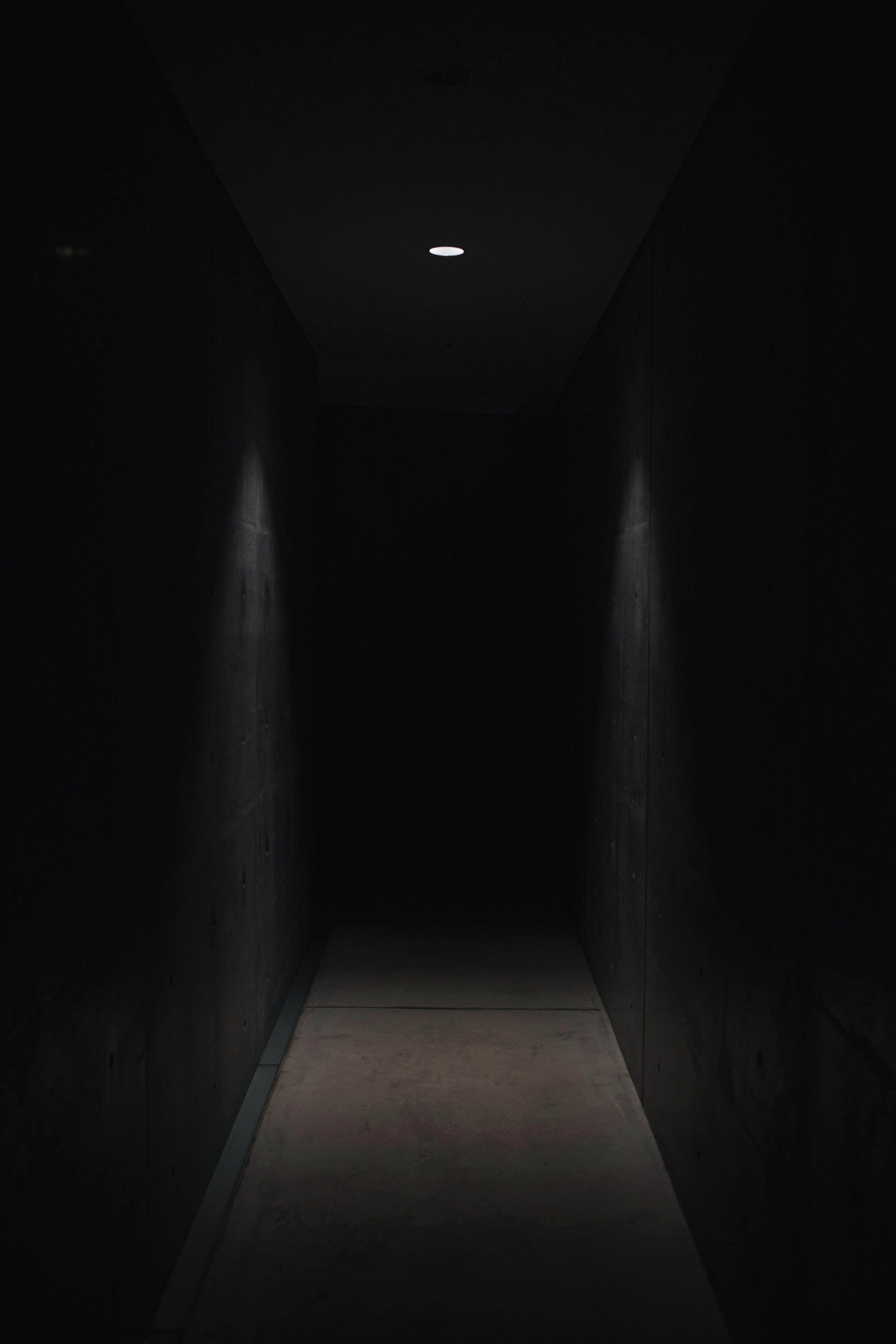 Psychological Thrills Delving into the Minds Darkest Corners
