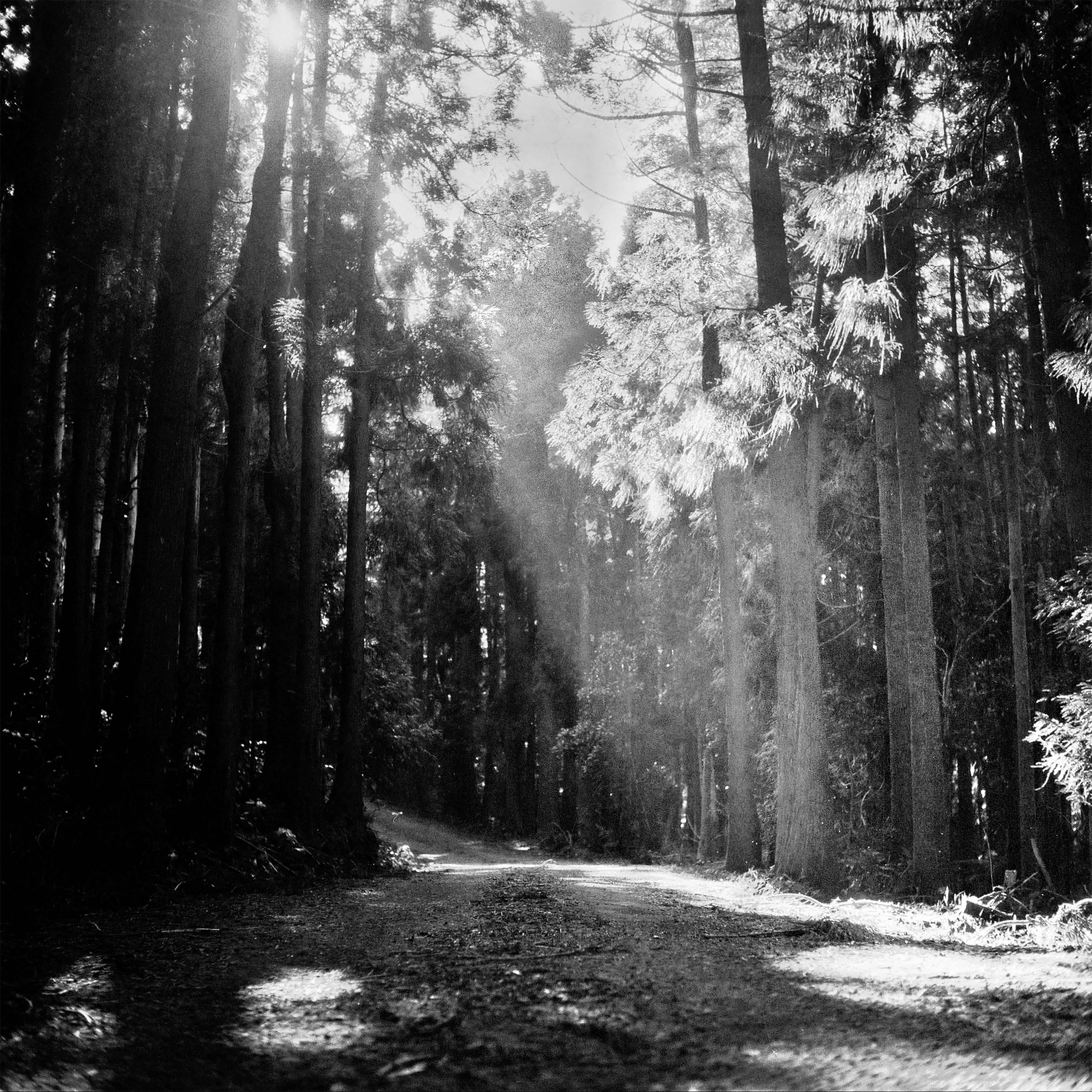 Strategies for Preserving Narrative Depth in the Streaming Era