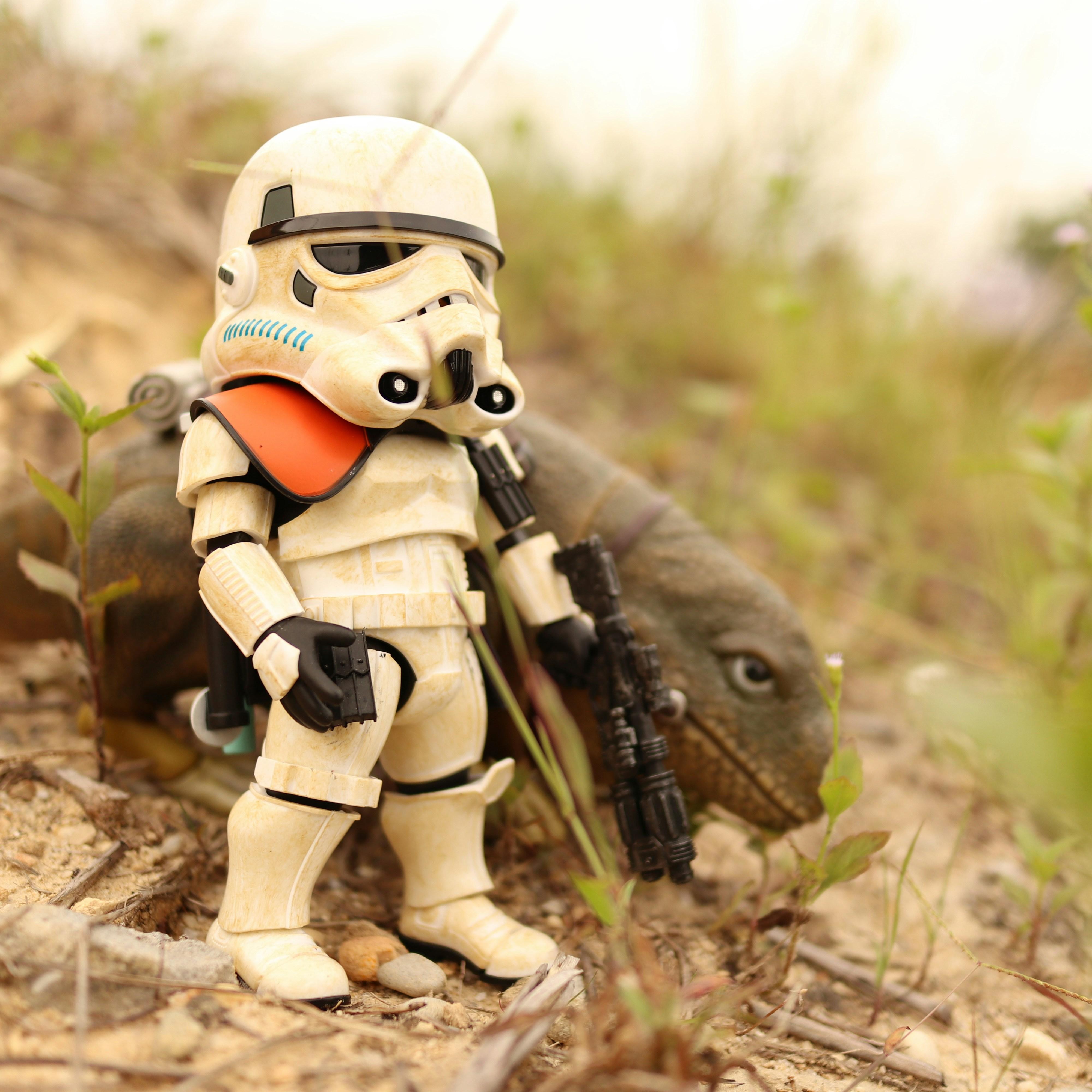 Cinematic Journeys Through the Chaos of War