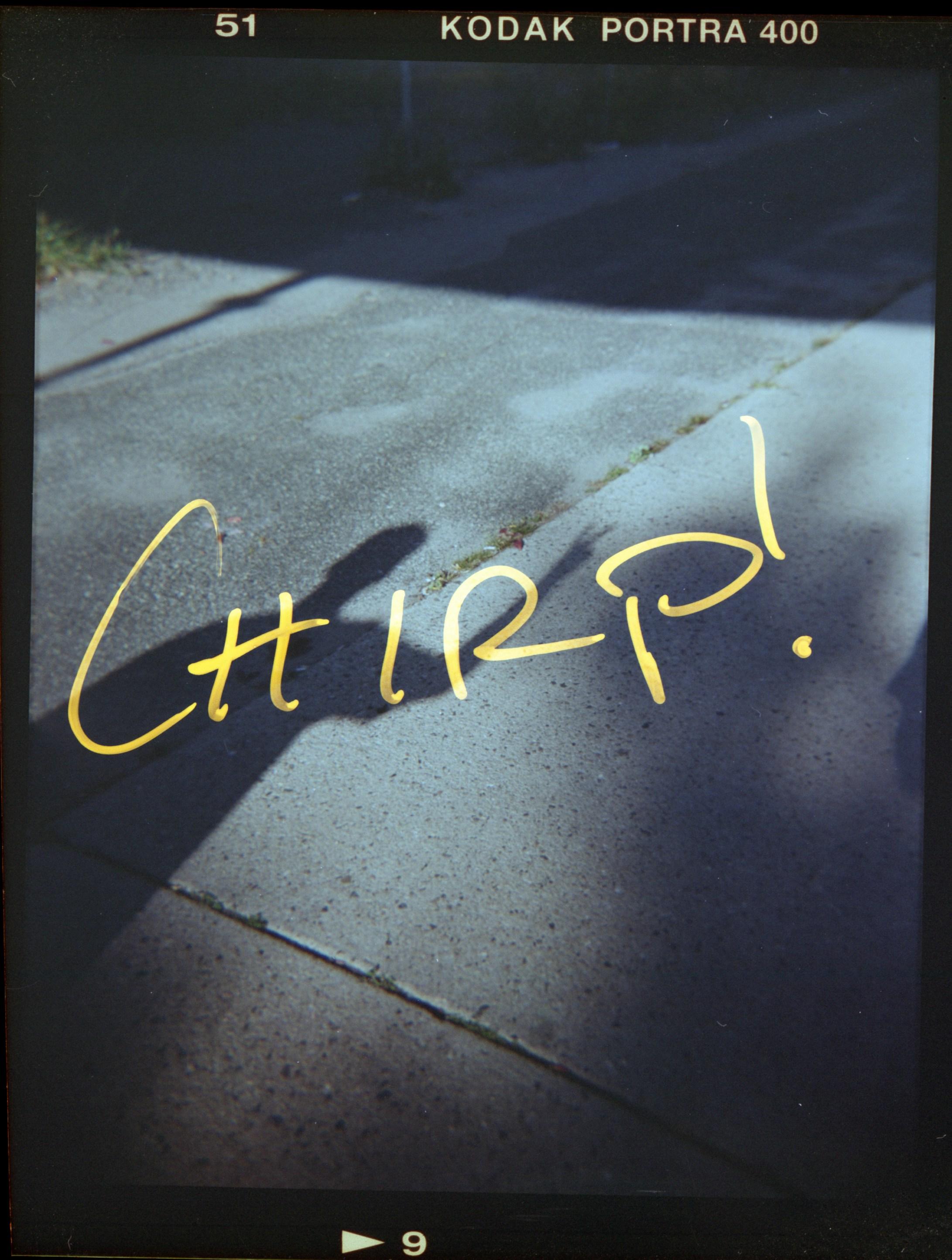 The Evolution of Indie Films in a Blockbuster-Driven Market