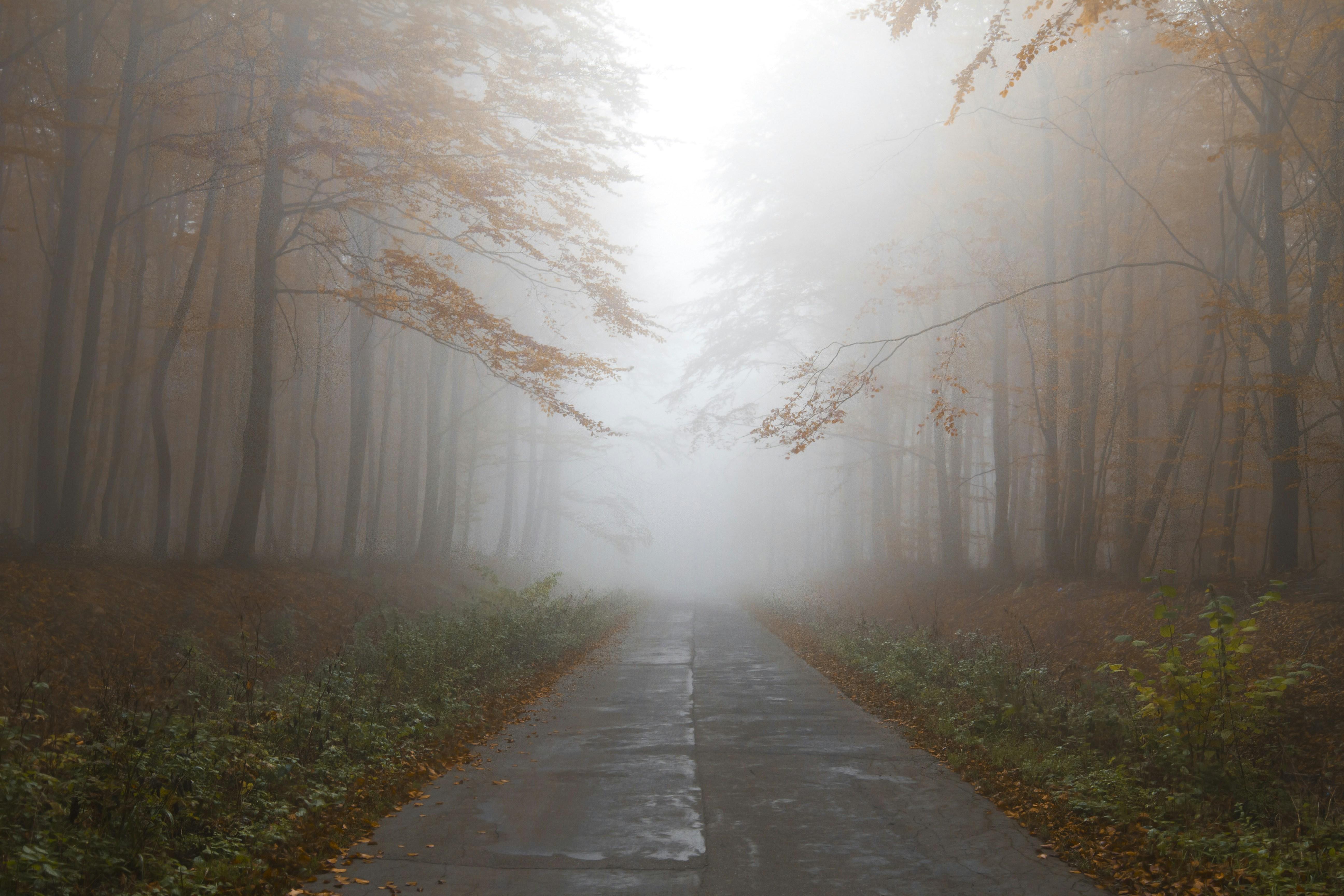 Binge-Worthy Mysteries: Series That Will Leave You Craving More