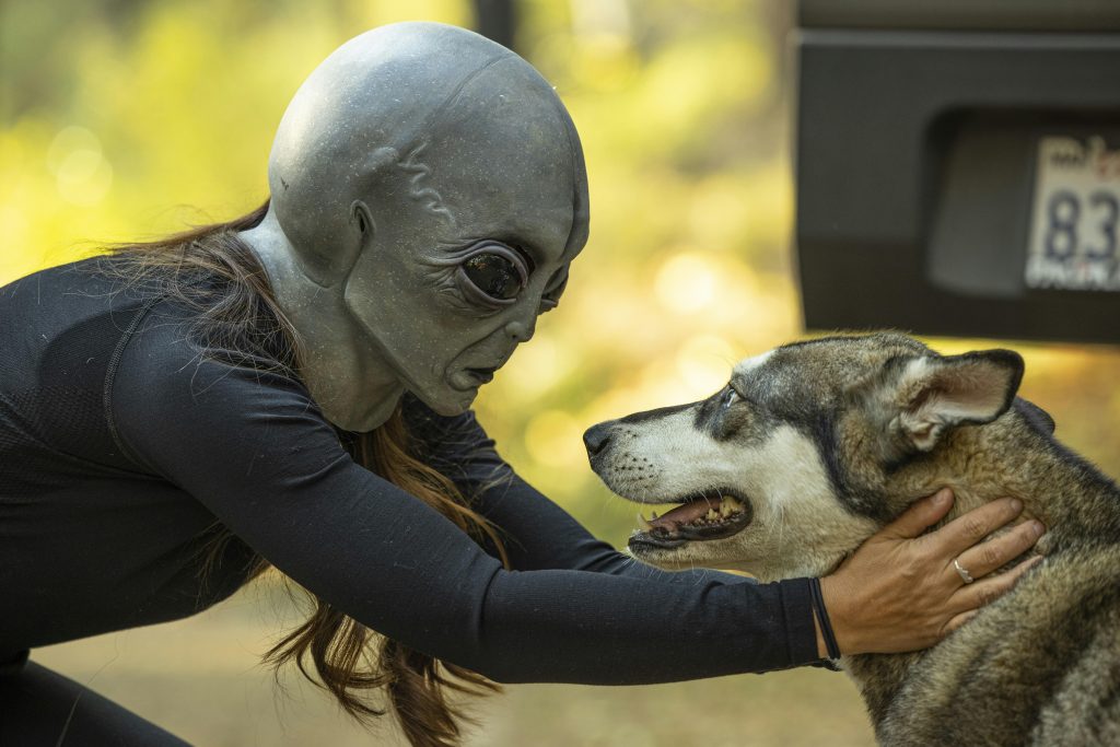 Top Alien Invasion Movies for Fans of Extraterrestrial Thrills