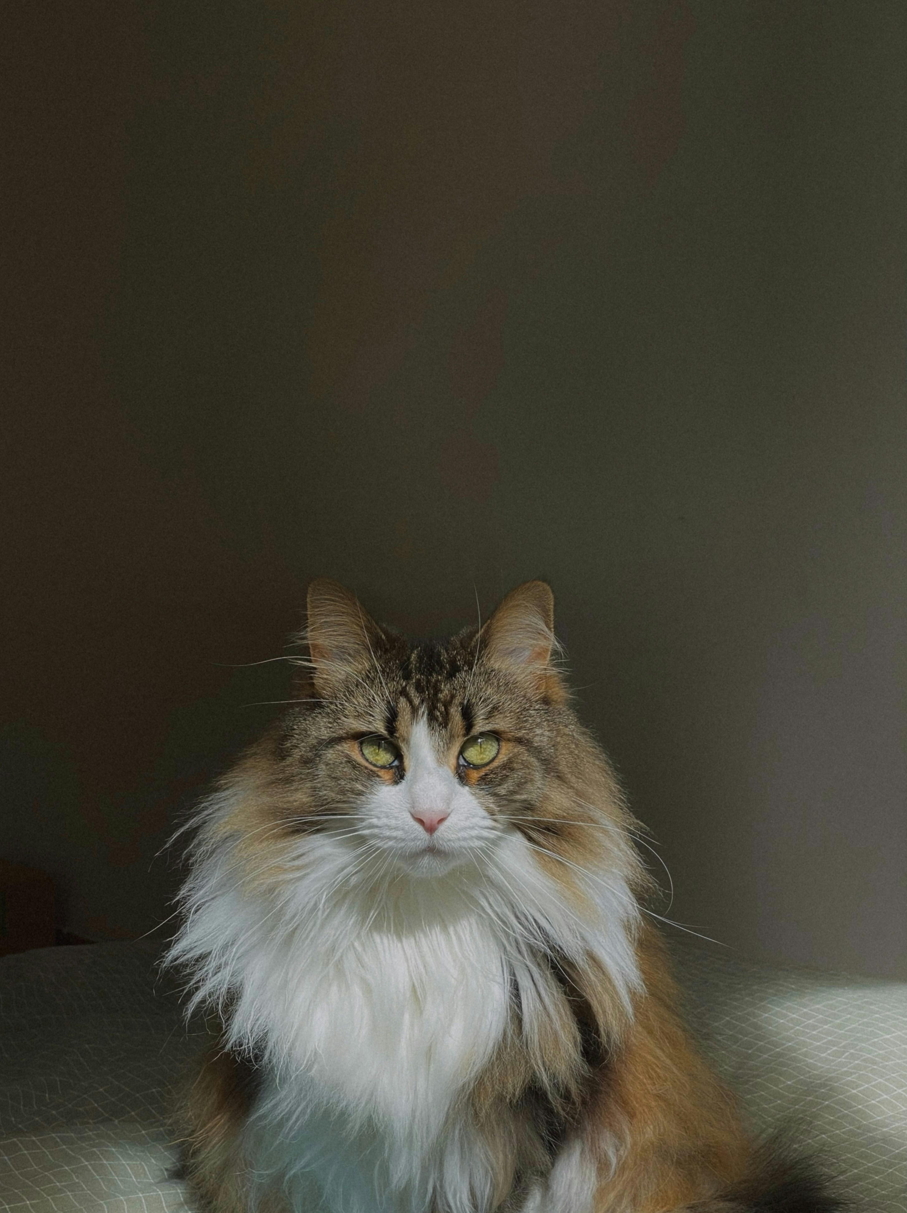 Behind ‌the ⁣Lens: DuVernays Visionary ⁣Storytelling Techniques
