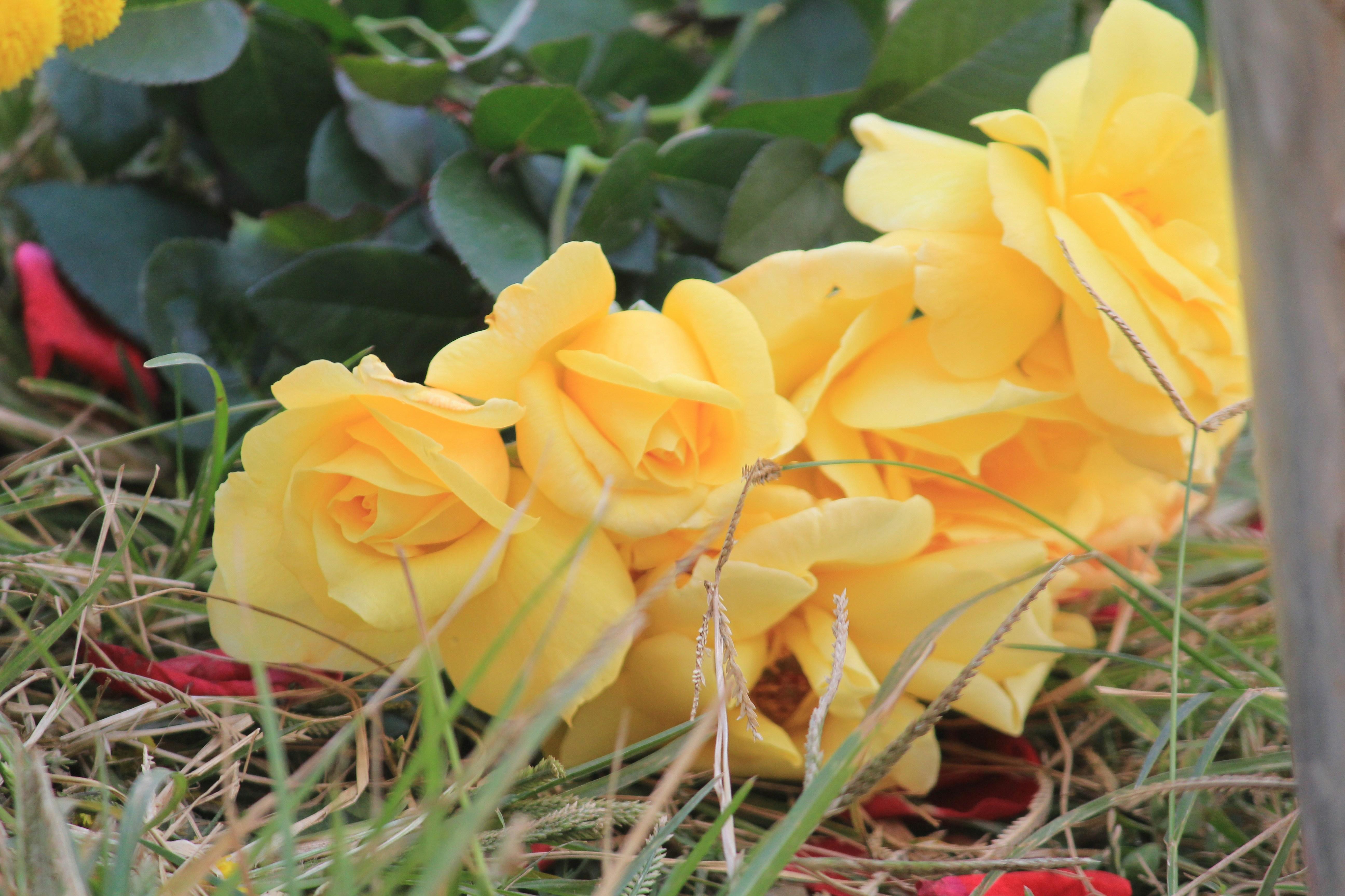 Unforgettable Romantic Scenes That Captivate