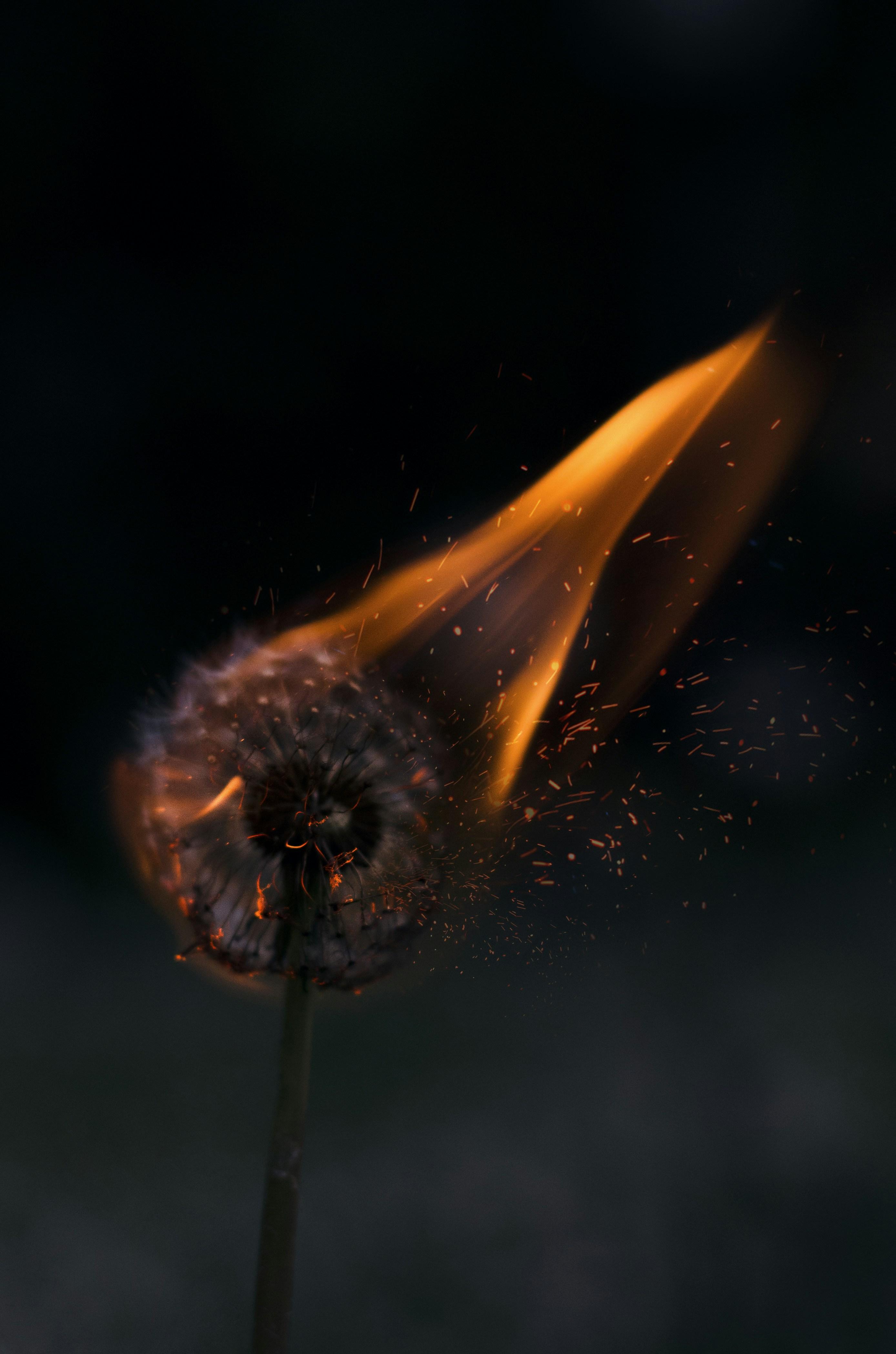 Unveiling the Impact: Cultural and Industry Shifts Sparked by The Dark Knight