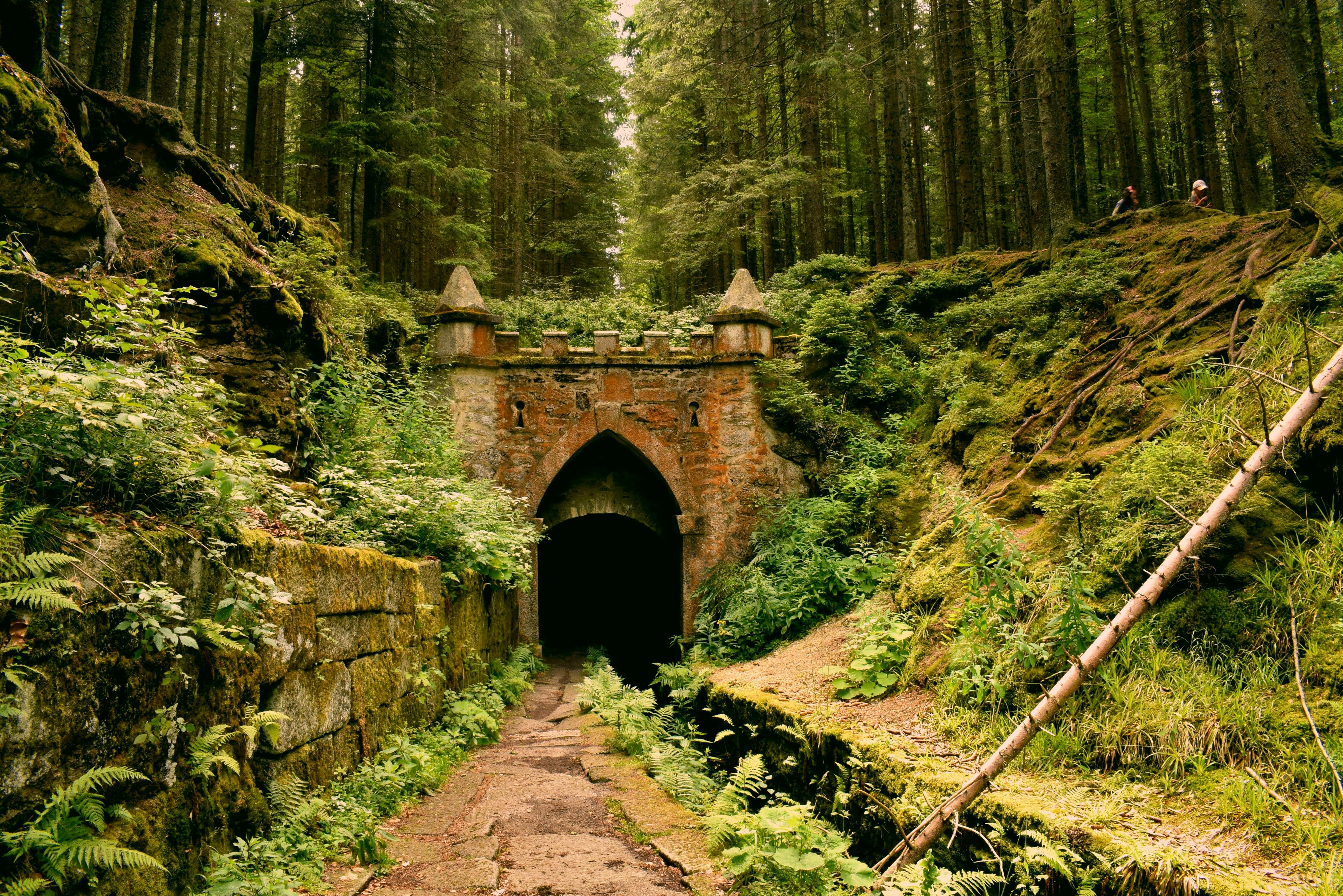 Crafting Worlds: How TV Budgets Are Transforming Fantasy Narratives