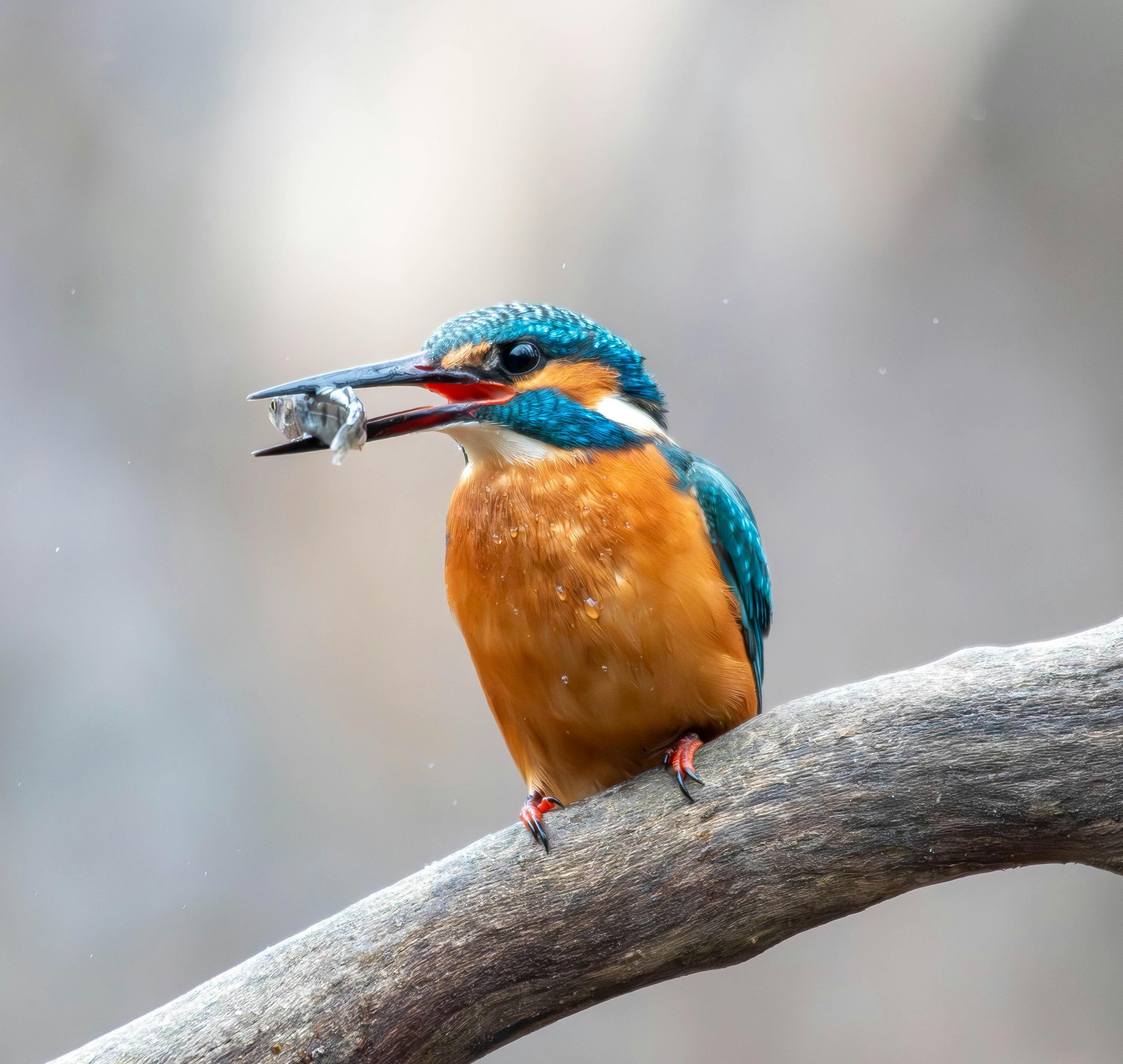 Hidden ⁣Clues and‌ Masterful Foreshadowing