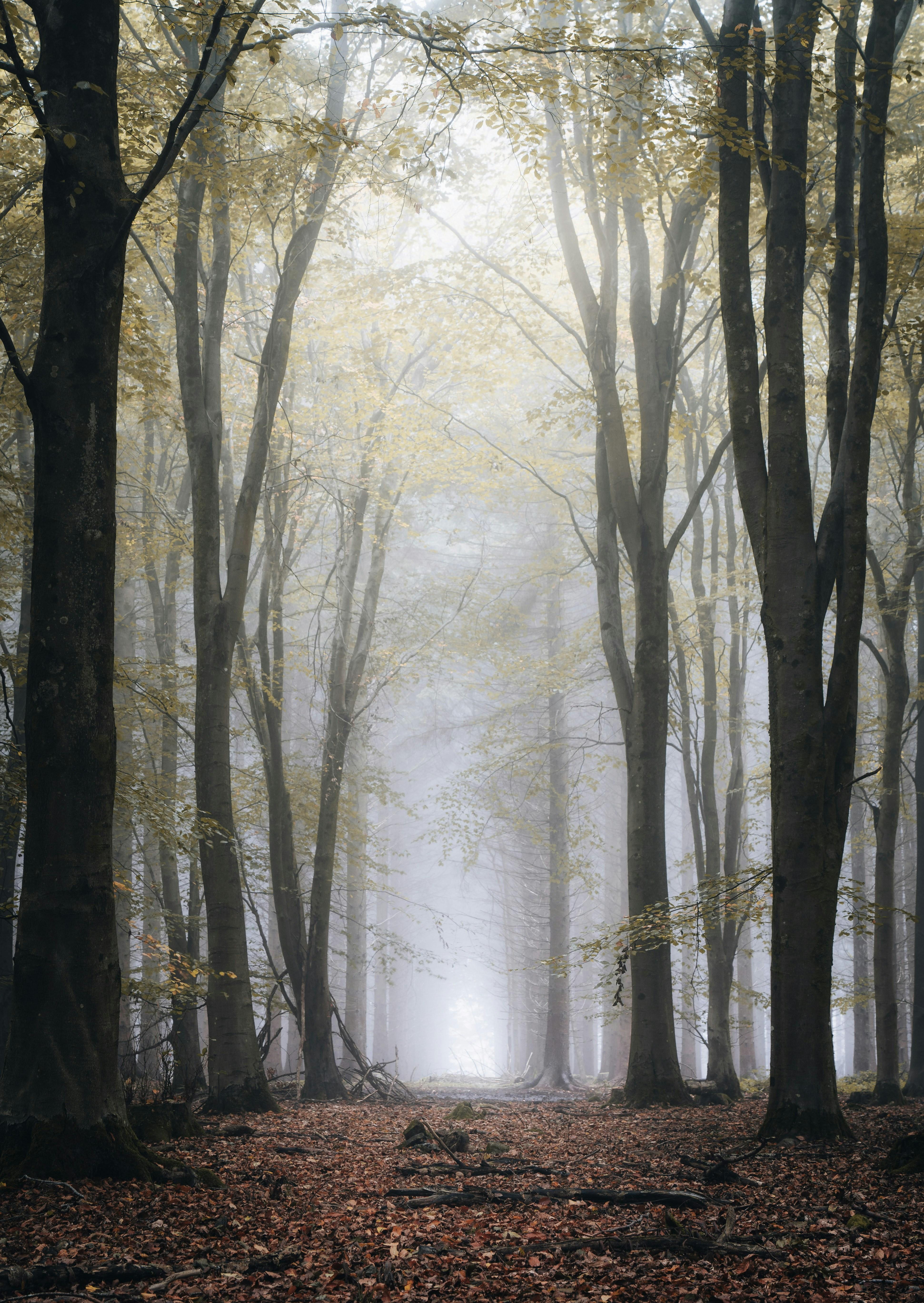 World-Building ​Excellence and Mythological Depth