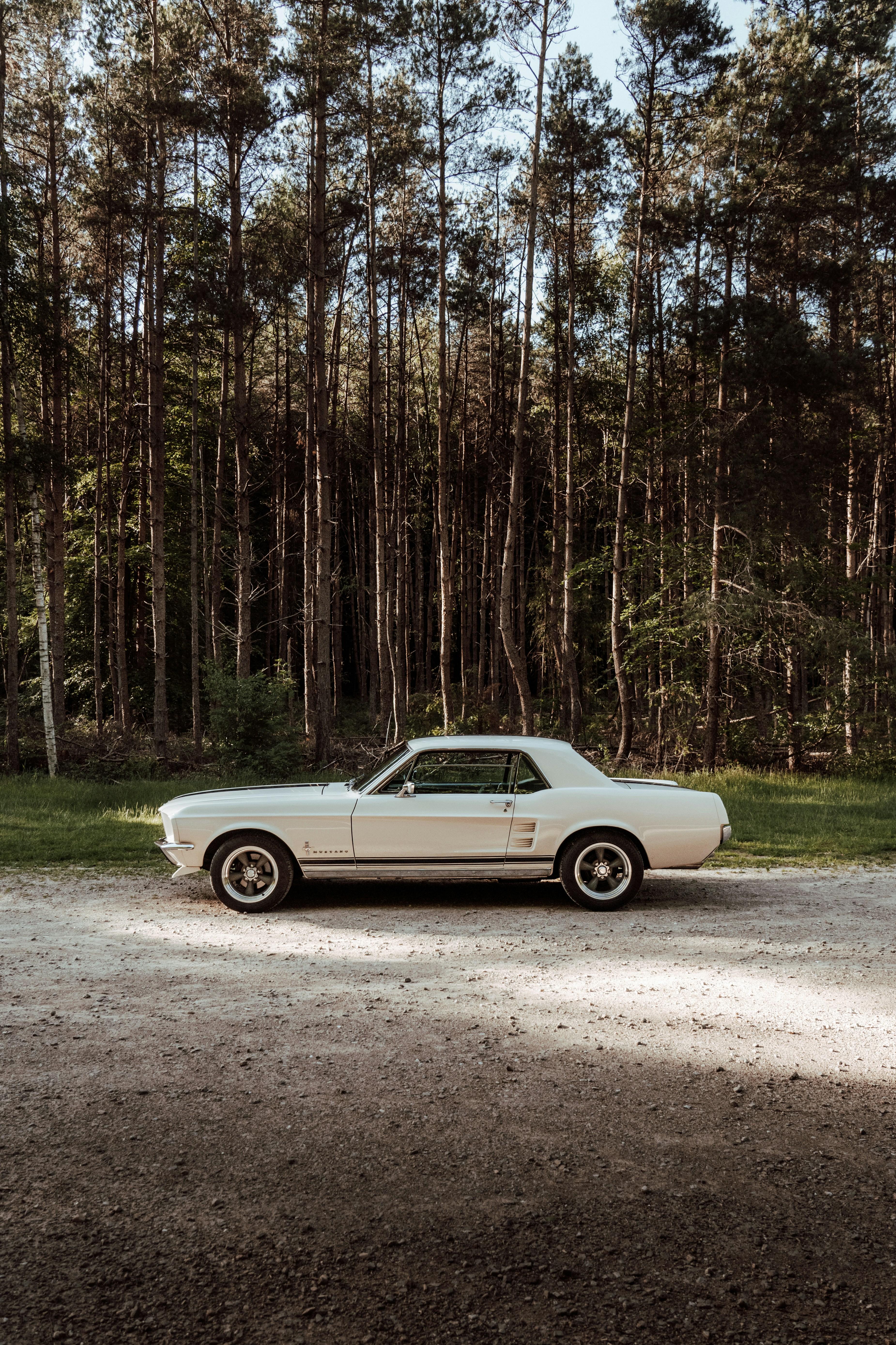 A Curated List of Must-Watch Forgotten Classics