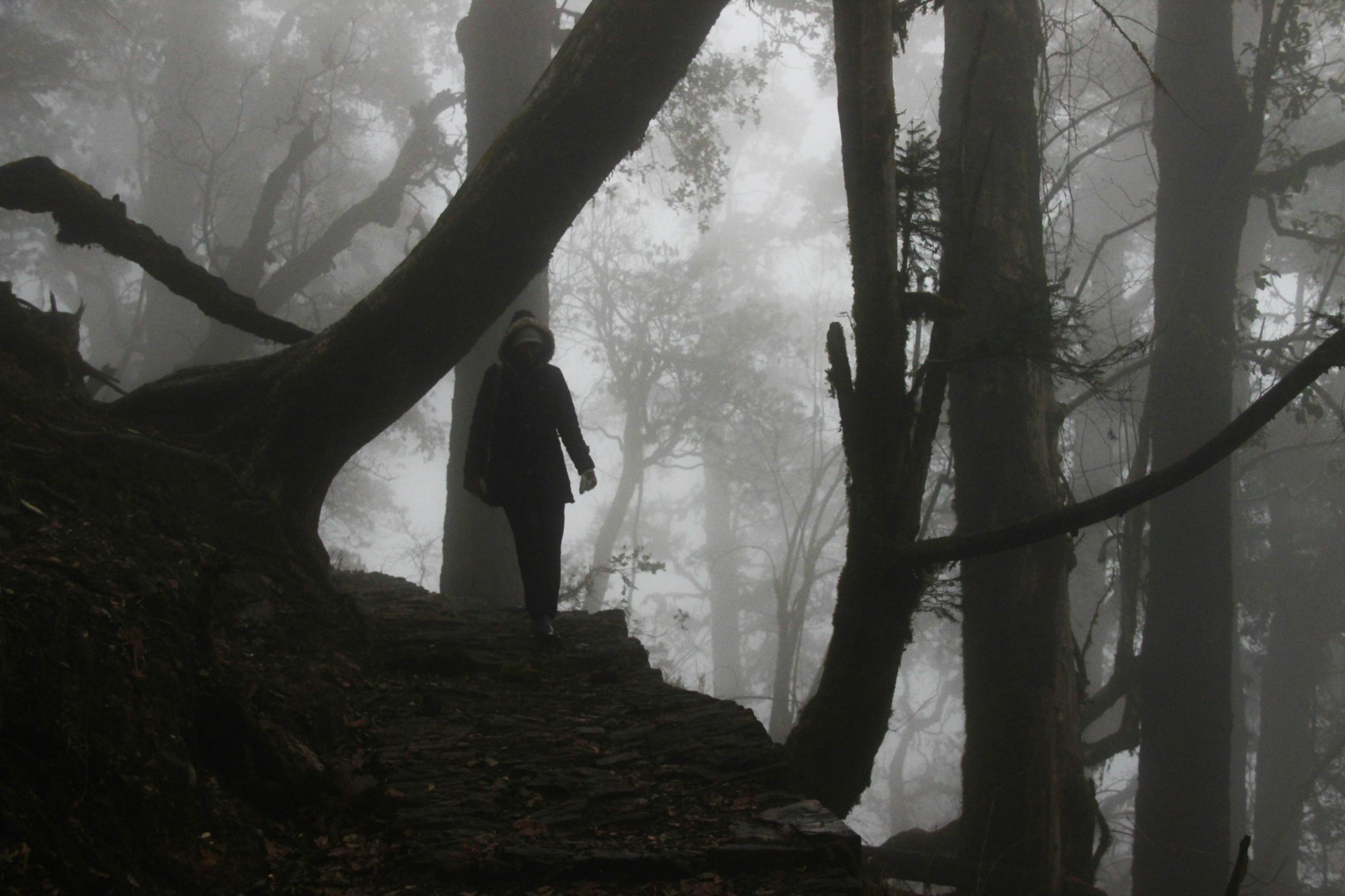 Cinematic Enigmas: A Journey Through Noirs Secretive Storytelling