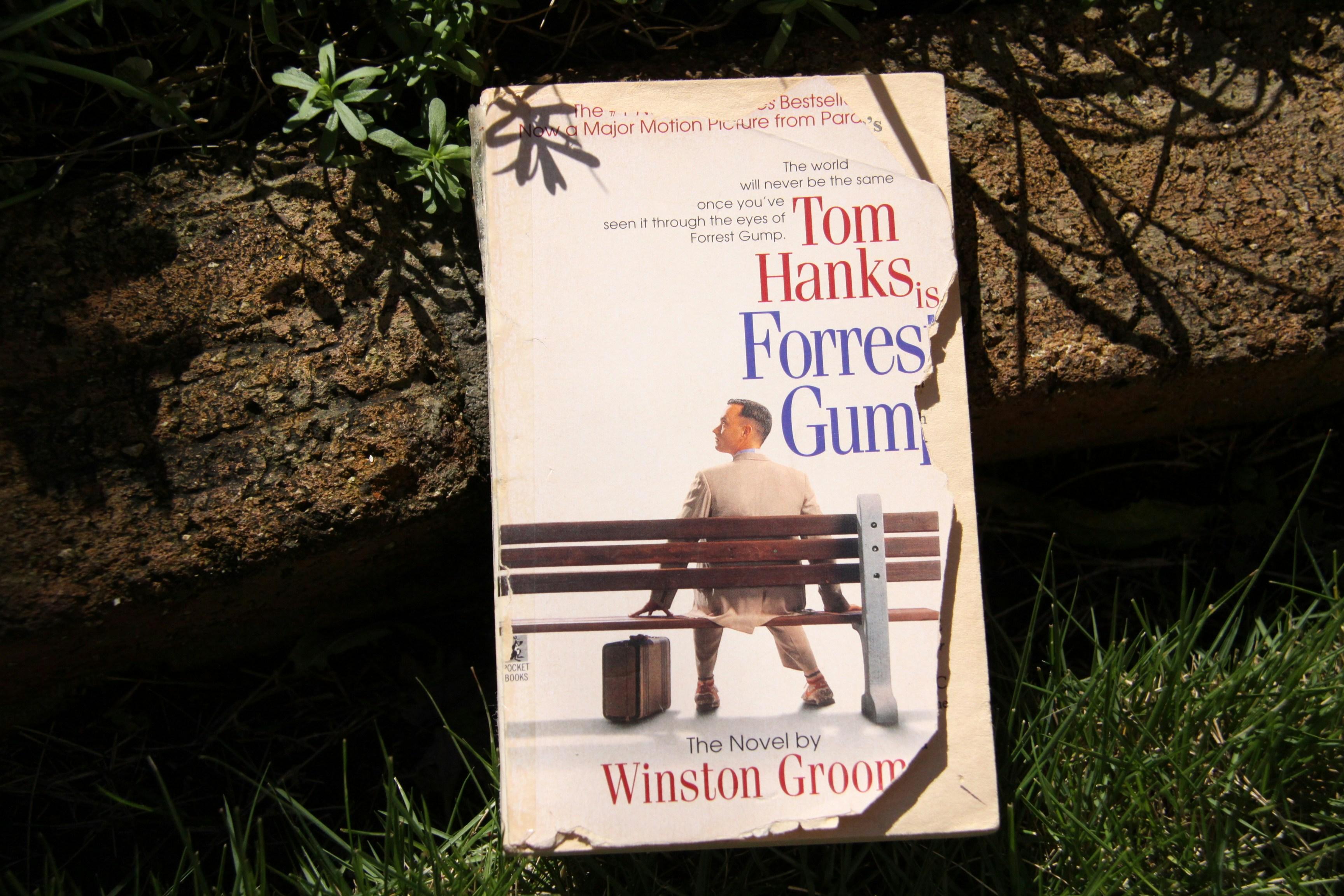 Exploring Heartwarming Narratives and Uplifting Characters